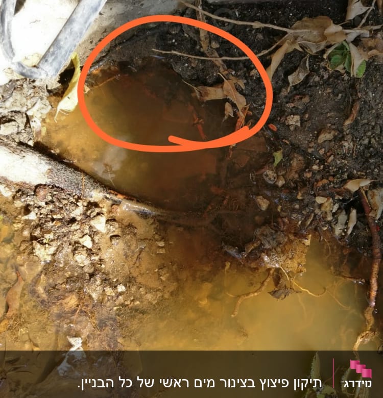 מים עומדים עם צינור שבור ואדמה רטובה